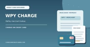 WePay-style merchant payment receipt, card and transaction details for a WPY statement charge.