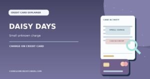 Credit card statement with a small unknown Daisy Days authorization and investigation magnifier.